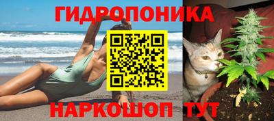 стафф Аргун
