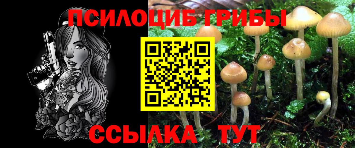 Псилоцибиновые грибы прущие грибы  Псилоцибиновые грибы GOLDEN TEACHER  Вольск  Вход с VPN 