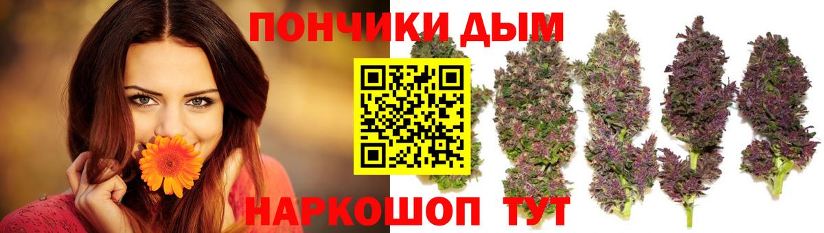 Конопля конопля Вольск